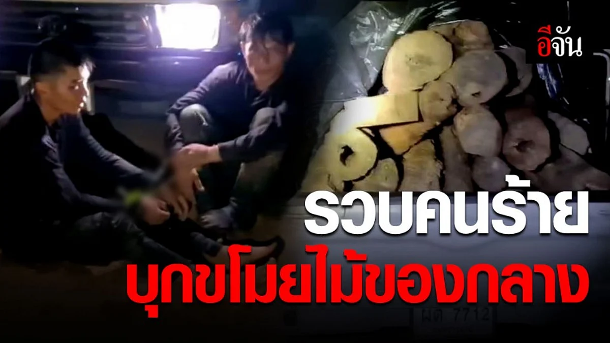 จับแก๊งมอดไม้ลอบขโมยไม้ของกลาง จนท.ยิงบาดเจ็บ 1 คน