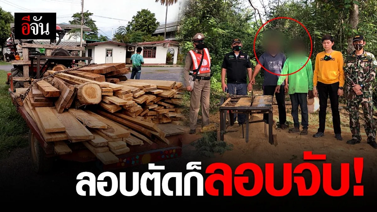 ไม่รอด! พญาเสือบุกจับคนลักลอบตัด-แปรรูปไม้ประดู่ ไม้สัก