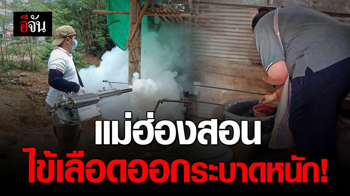 เป็นห่วงแม่ฮ่องสอน! ยอดผู้ป่วยไข้เลือดออกพุ่ง 576 ราย