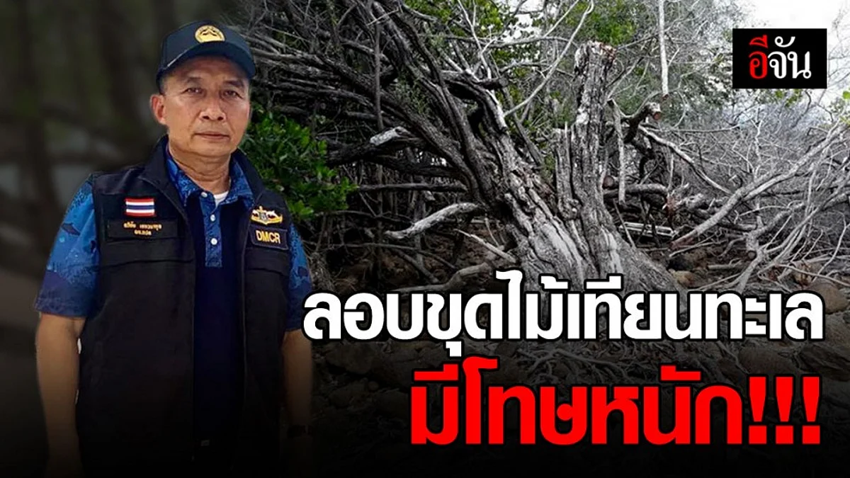 ทช.เอาจริง ! ลักลอบขุดไม้เทียนทะเล เจอโทษหนัก จำคุก 1 ปี ปรับ 1 แสนบาท หรือทั้งจำทั้งปรับ