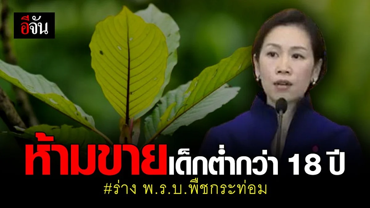 ไฟเขียว! ร่าง พ.ร.บ.พืชกระท่อม ห้ามโฆษณา - ห้ามขายเด็กต่ำกว่า 18 ปี