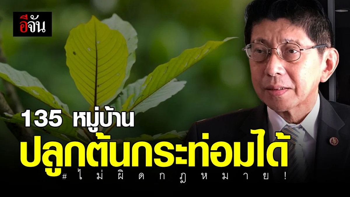 เปิดรายชื่อ 135 หมู่บ้าน นำร่องปลูก " กระท่อม " ไม่ผิดกฎหมาย