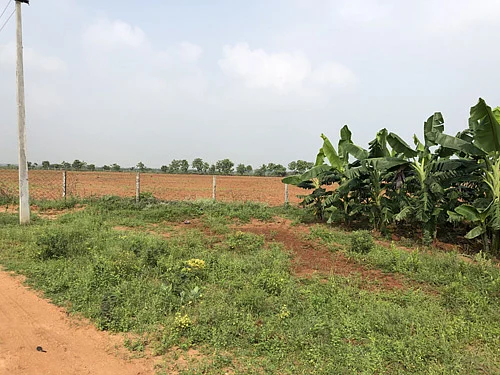 land