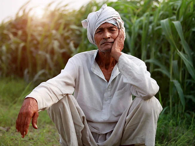 farmer