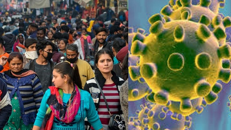 Corona Virus