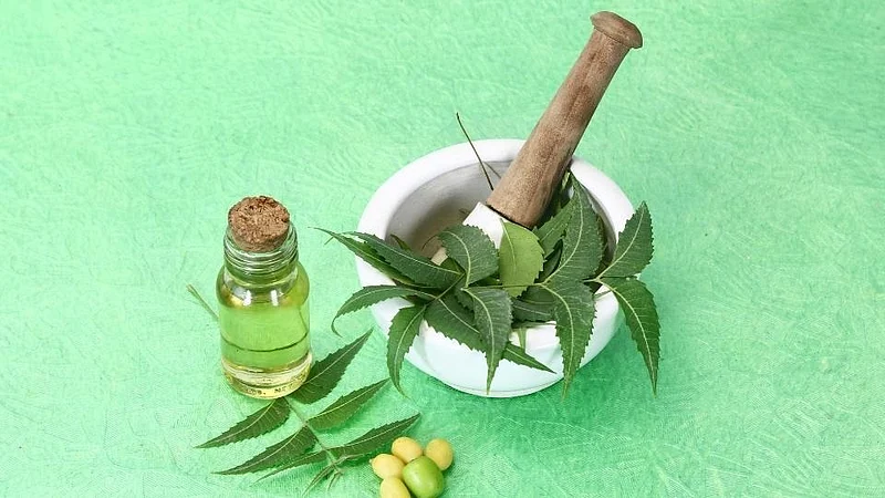 चैत्र पाडव्यादिवशी कडूलिंब खाणे का महत्वाचे; वाचा सविस्तर