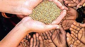 Food Crisis In World