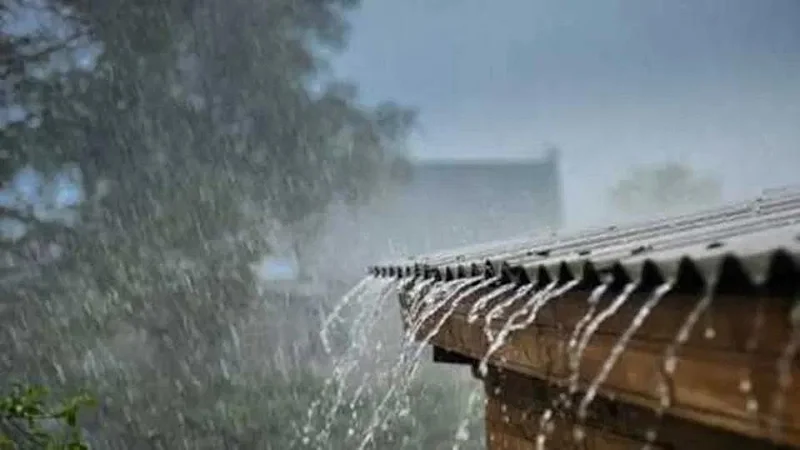 Rain