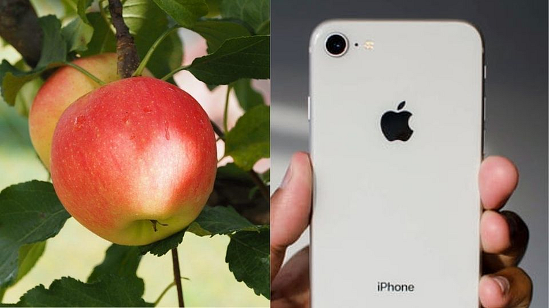 Apple mobile