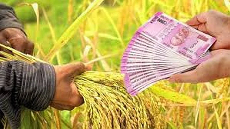 29 बॅँकांनी वितरीत केले पिककर्जाचे 308 कोटी रुपये