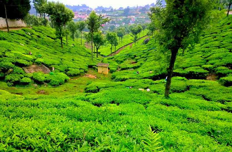 kunur hill Station