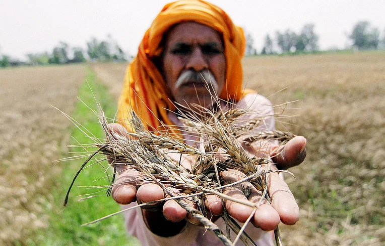 farmer