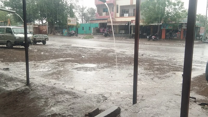rain adul