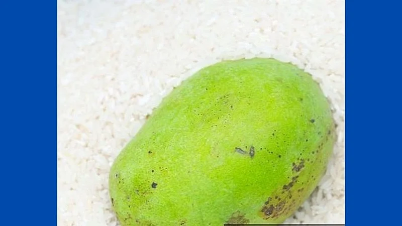कच्च्या आंब्याला घरातच अशा पद्धतीने पिकवा बाजारातील आंब्या पेक्षाही अधिक स्वादिष्ट