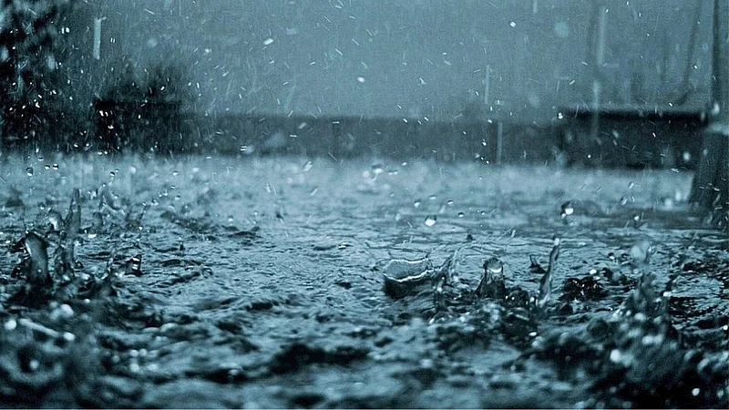 Rain Forecast