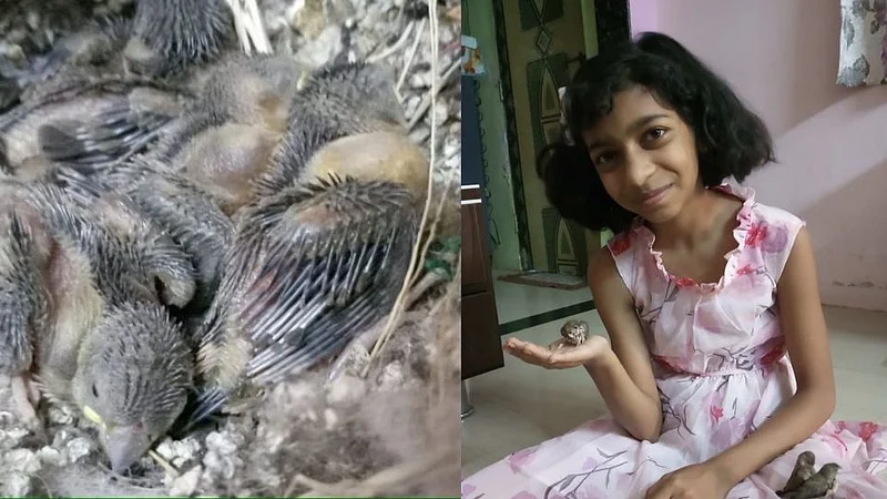 bird and girl