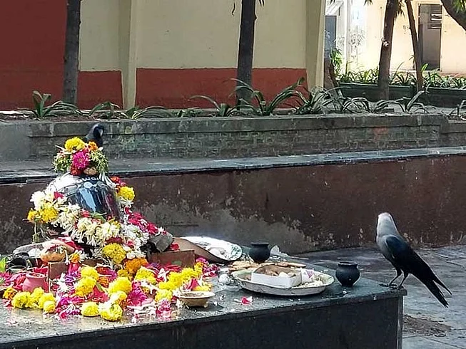 Dashkriya