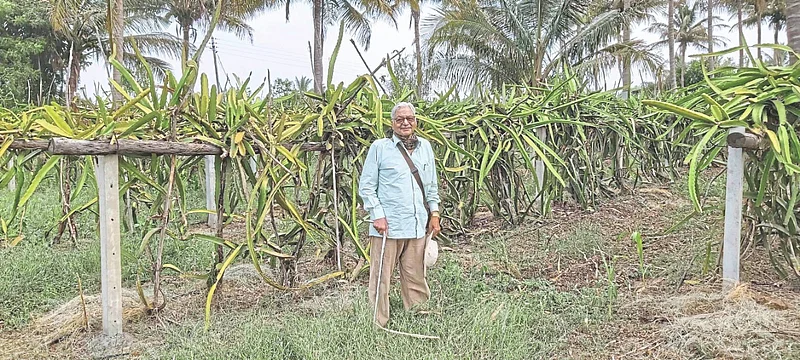 After retiring from a bank at the age of 50 Arun Nilkanth Pradhan planted a dragon orchard at Nimone