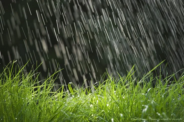 rain