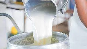 Milk