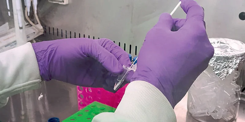 Dry Swab