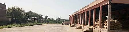 hingoli market yard