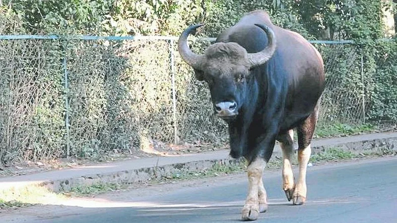 patan taluka