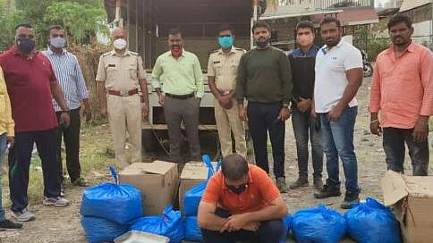 Seven and a half lakh cannabis seized in Shrirampur city