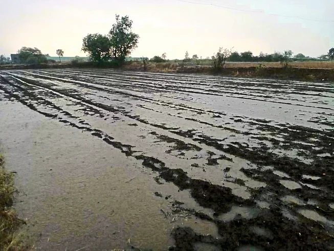 Nashik Rain