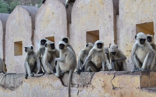 Daulatabad fort