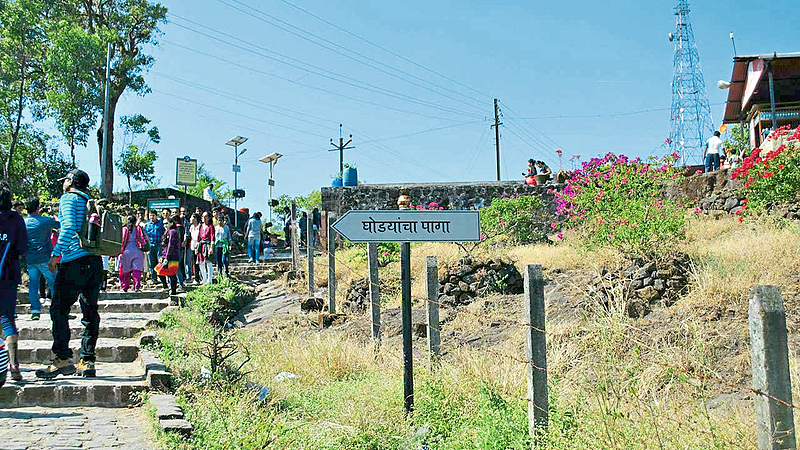 सिंहगडावर अतिक्रमण कारवाईचे संकेत; वन विभागाने कसली कंबर