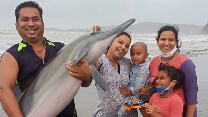 मुरुडच्या किनाऱ्यावर डॉल्फिन, युवकाची मन जिंकून घेणारी कृती