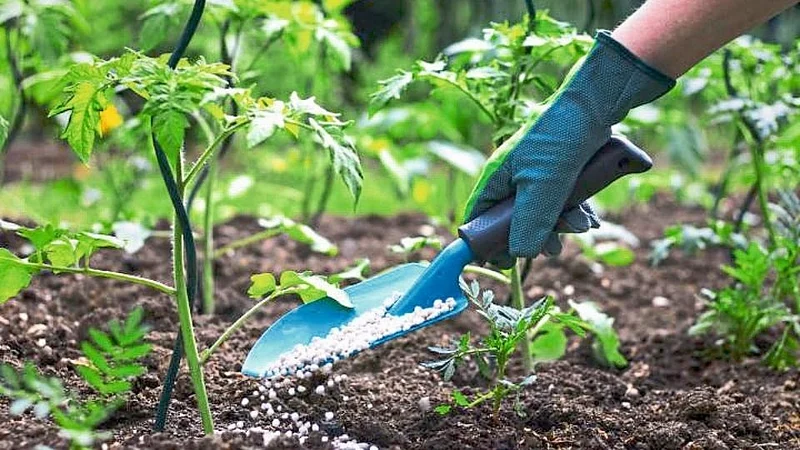 सावधान! जादा दराने खत विकल्यास होणार कारवाई