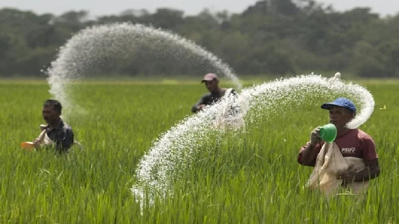 fertilizers