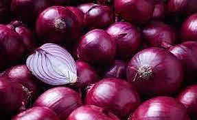 Onion