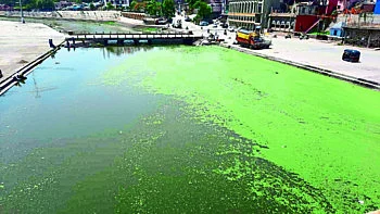 dirt in the Godavari river