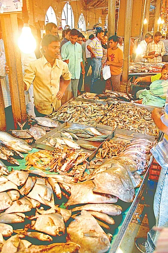 रावस, पापलेट, सुरमईच्या भावात दुप्पटीने वाढ