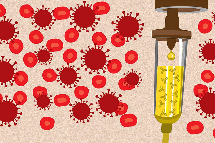 blood plasma