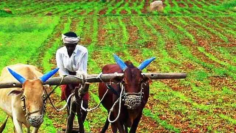 farmer