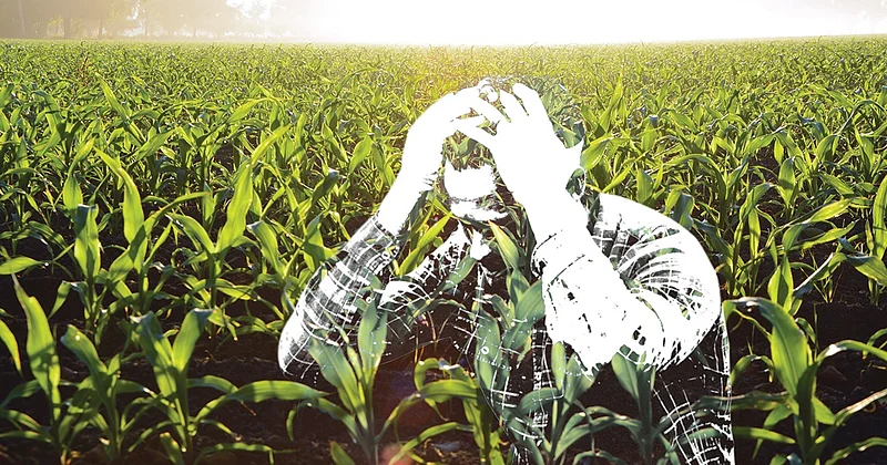 farmer