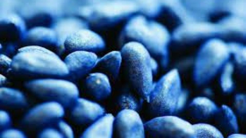 cotton seeds