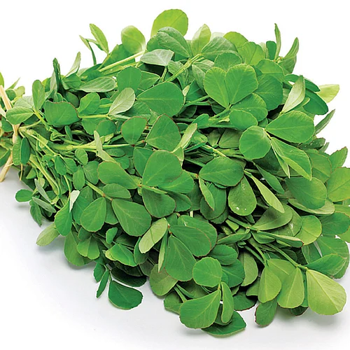 Methi