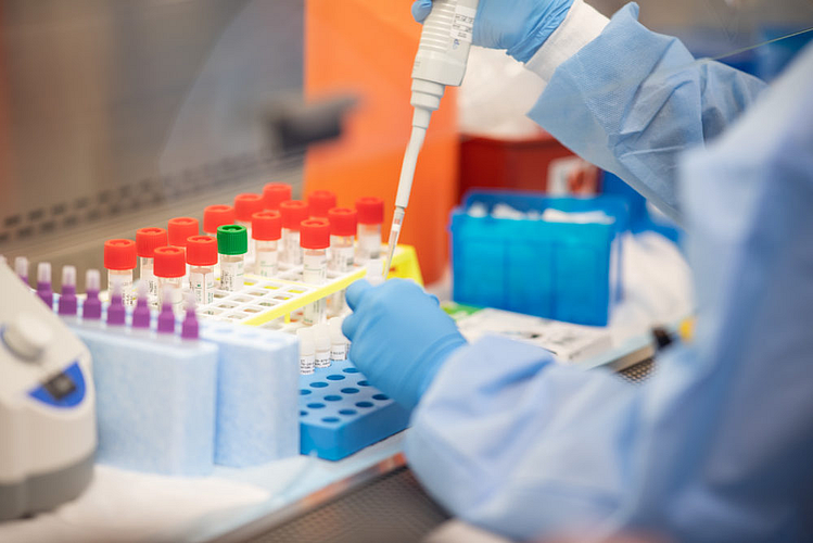 Virology Career