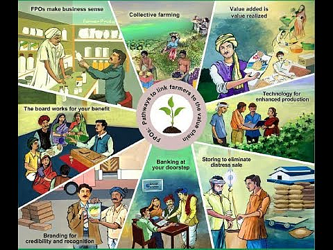शेतकरी उत्पादक कंपनी