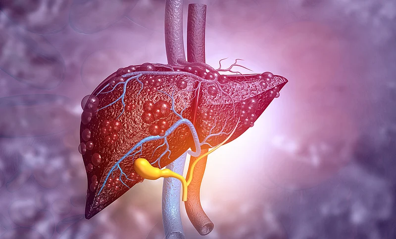 liver