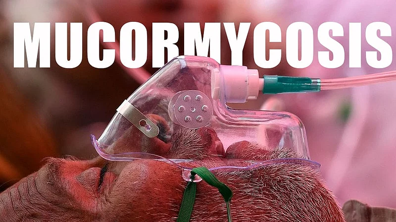 mucormycosis