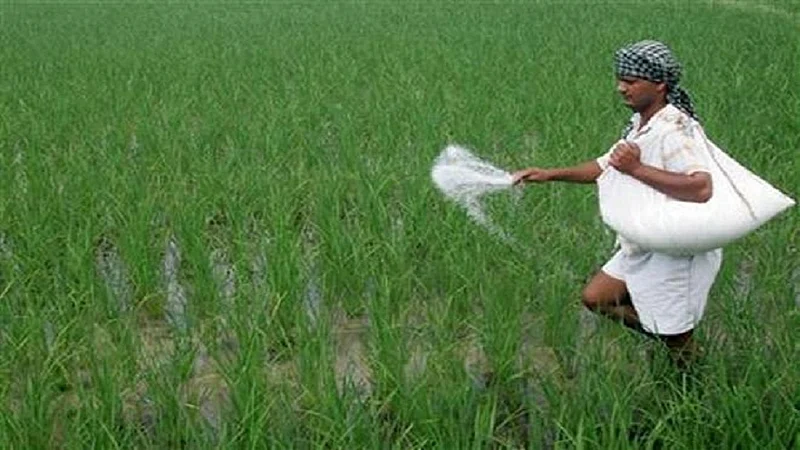 fertilizer