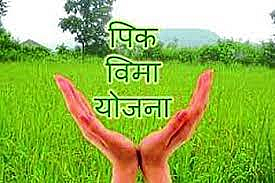 पीक विमा