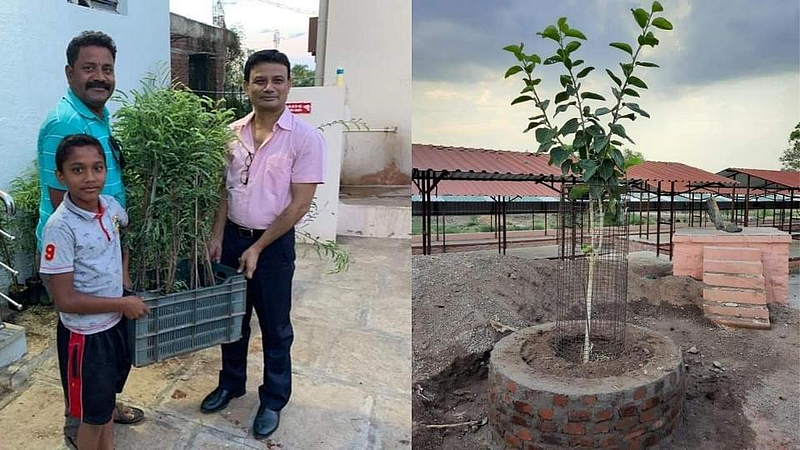 पर्यावरणाचे आरोग्य जपणारे "ट्री-मॅन' डॉ. गुजरे !
