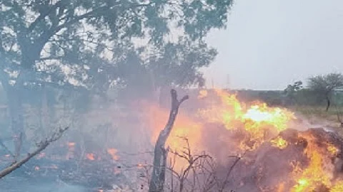 वीज कोसळून लागली आग; शेतकरी बचावला, लाखोंचे नुकसान